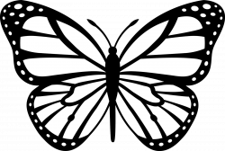 28+ Collection of Butterfly Cartoon Drawing | High quality, free ...