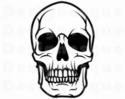 Skull SVG, Skull Clipart, Skull Cut Files For Silhouette, Skull Files for  Cricut, Skull Dxf, Skull Png, Skull Eps, Skull Vector