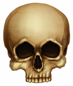Halloween Skull PNG Picture | Gallery Yopriceville - High-Quality ...