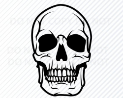 Skull SVG - human skull Vector Images silhouette Clip Art for Vinyl Cutting  SVG Files For Cricut -Eps, Png Stencil ClipArt Halloween skull
