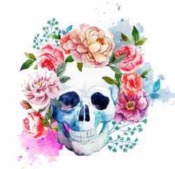 Calavera Human skull symbolism Skull art - Watercolor Skull 658*638 ...