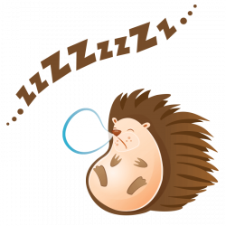 Hedgehog Clipart sleeping - Free Clipart on Dumielauxepices.net
