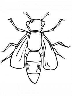 Free Printable Bugs Cliparts, Download Free Clip Art, Free Clip Art ...
