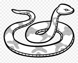 Snake Line Clipart - Clip Art Black And White Snake - Png ...