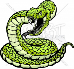 Striking Viper or Coiled Snake Body Vector Clipart Image ...
