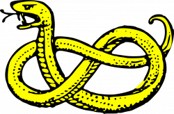 Snake | Free Stock Photo | Illustration of a yellow snake | # 16241