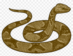 Clip Art Images - Snake Clipart, HD Png Download - 1032x750 ...