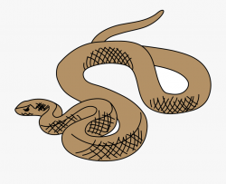 Brown Tree Snake Clip Art - Brown Snake Clipart #64708 ...