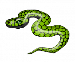 Slithery Snake. by Koala-Sam on DeviantArt