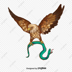 The Eagle That Catches The Snake, Eagle Vector, Snake Vector ...