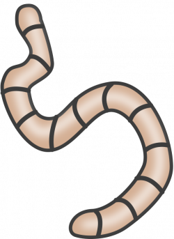Clipart - Earthworms