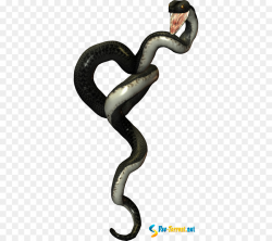 Snakes Clip art Portable Network Graphics Image File format ...