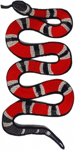 gucci designer snake lilpump smokepurpp interesting art...