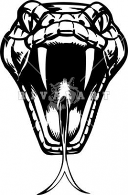 Snake Head Fangs Drawings Clipart - Free Clipart | Logos ...