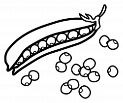 28+ Collection of Pea Pod Clipart Black And White | High quality ...