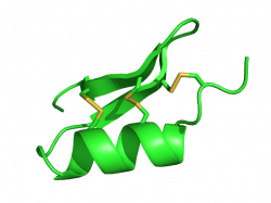 Scyllatoxin - Wikipedia