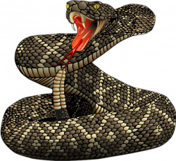 snake rattlesnake rattler - Sticker by Taliafera