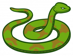 Elapidae,Reptile,Serpent PNG Clipart - Royalty Free SVG / PNG