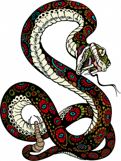 Tiger Snake Lion Illustration - Vector snake 753*1000 transprent Png ...