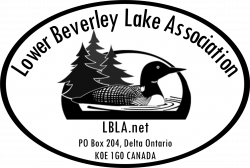 Amphibian and Snake Identifiers | Lower Beverley Lake Association