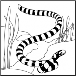 Long Clipart water snake 5 - 304 X 304 Free Clip Art stock ...