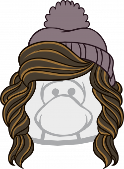 Image - The Snow Day clothing icon ID 1738.PNG | Club Penguin Wiki ...