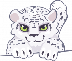 snow leopard cub by Kna on DeviantArt