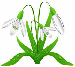 Snow in spring clipart - Clipground