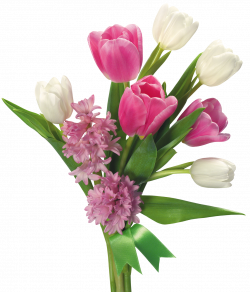 Spring Bouquet of Tulips and Hyacinths PNG Transparent Picture ...