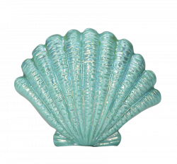 blue seashell png - Free PNG Images | TOPpng