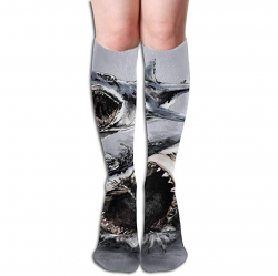 Unisex Knee High Long Socks Shark Clipart Art Over Calf ...