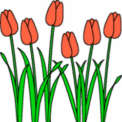 Spring Tulips Clipart - Clip Art Library