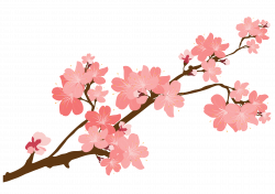 Cherry blossom Sticker Clip art - Cherry flowers 2631*1860 ...