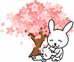 Clipart - cherry blossoms rabbit