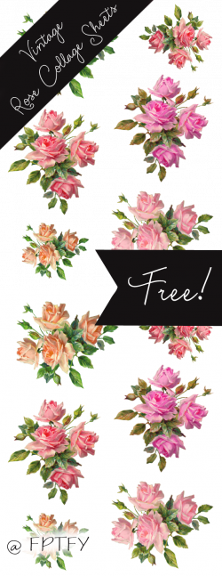 Gorgeous -Stock Vintage Rose Images | Best Free Digital Goods ...