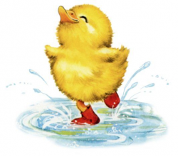 animated duckling splashing in puddle | Bird | Duck ...