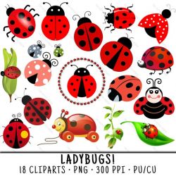 Ladybug Clipart, Spring Clipart, Ladybug Clip Art, Spring Clip Art, Ladybug  PNG, Spring PNG, Clipart Ladybug, Spring Ladybugs