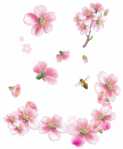 Pink flowers Clip art - Spring Pink Trees Flowers PNG Clipart 3019 ...