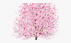 Spring Clipart Pink - Cherry Blossom Trees Transparent ...