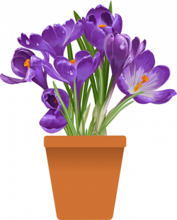 Clip Art of beautiful plants for the spring garden | Pinterest ...
