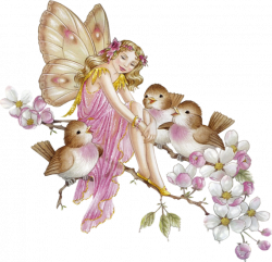 Fairy PNG Transparent Free Images | PNG Only