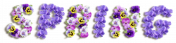 Spring Violets PNG Clipart Picture | Gallery Yopriceville - High ...