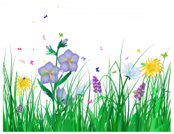 28+ Collection of Free Flower Clipart Transparent Background | High ...