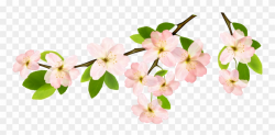 Magnolia Clipart Garland - Transparent Background Spring ...