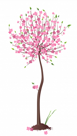 Spring Pink Tree PNG Clipart | Gallery Yopriceville - High-Quality ...