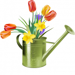 Free Spring Tulips Cliparts, Download Free Clip Art, Free Clip Art ...