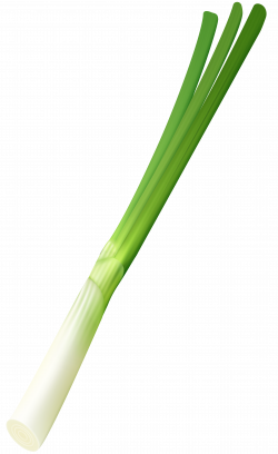 Spring Onion PNG Clip Art Image | Gallery Yopriceville - High ...