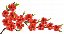 Red Spring Branch PNG Clipart Image | Gallery Yopriceville - High ...