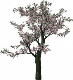 Large Spring Tree Clipart | Tree Art | Pinterest | Tree clipart and ...