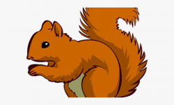 Chipmunk Clipart Gilhari - Transparent Background Squirrel ...